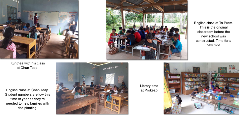 Banyan Tree Organization Student Activities